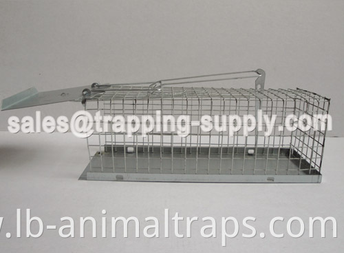 Small Single Rat Cage Trap